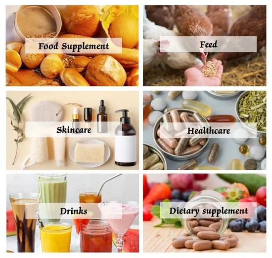 Poudre de levure nutritionnelle enrichie en vitamine B12 en vrac