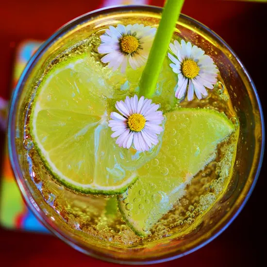 Acide citrique monohydraté, correcteur d'acidité