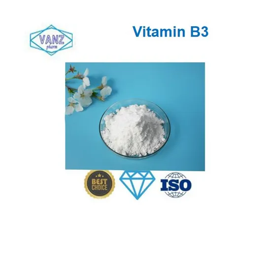 Supplément en vrac Matière première 99 % Nicotinamide Vitamine B3 Poudre