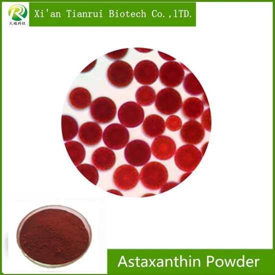 Poudre d'astaxanthine antioxydante 100 % naturelle fournie par l'usine